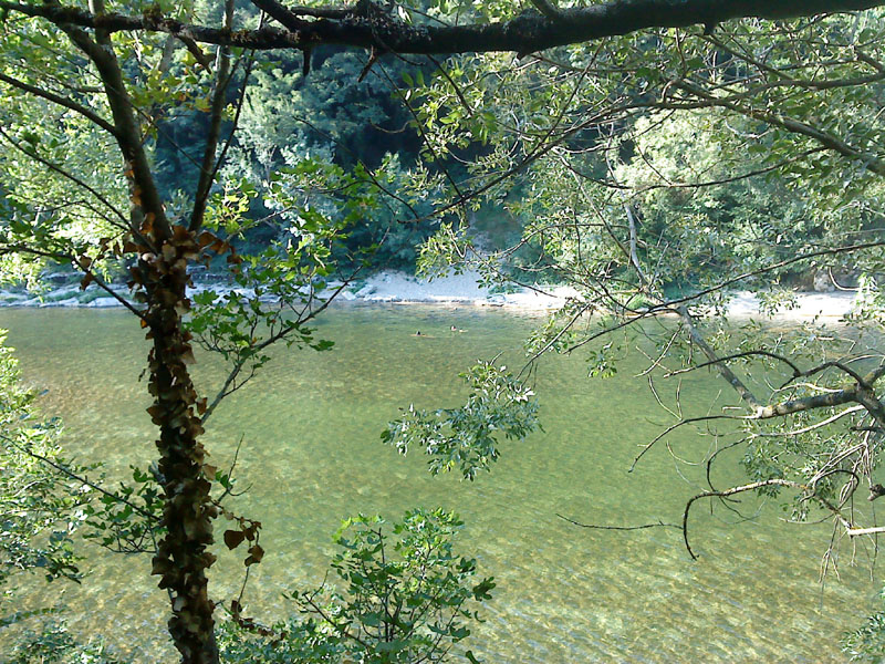20090718_083638