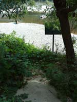 20090722_101850