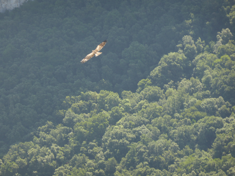 a_o_m_20130716_115500_p1020332