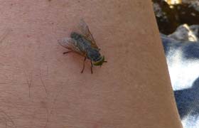 a_i_m_20130716_111344_p1020267_sm