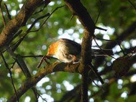 a_o_20130726_080910_p1030081