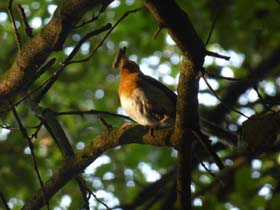 a_o_20130726_080914_p1030082