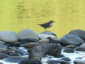 a_o_20130811_074720_p1040753