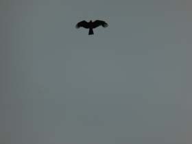 a_o_m_20130712_194550_p1010714