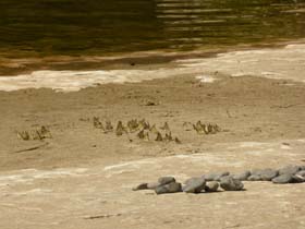 a_p_20130724_111946_p1020970