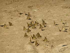 a_p_20130724_112208_p1020986
