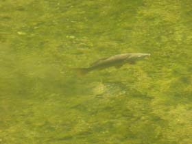 a_po_20130727_075944_p1030159