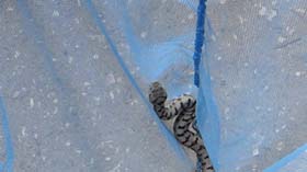 a_s_20130716_192416_p1020394