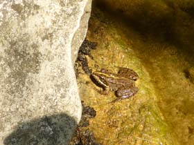 ag_20130715_152652_p1010957
