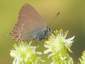 ap_20130714_090756_p1010862