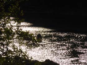 p_20130810_090312_p1040667