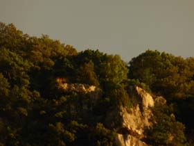 p_b_20130807_202428_p1040367