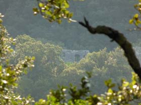 p_m_20130713_083036_p1010729