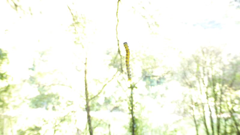 20180712_191442