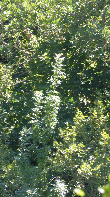 20180723_152548