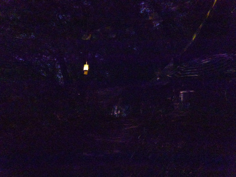 20180730_031532_p1220508
