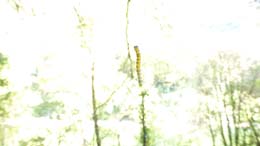 20180712_191442