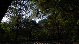 20180726_084338