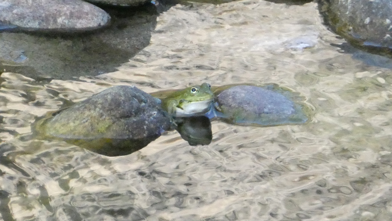 20190628_072150