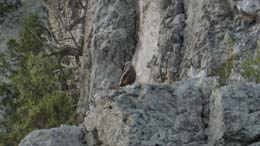 20200711_073448_tz90_