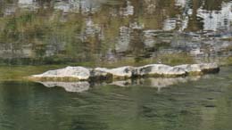 20200715_093806_tz90_