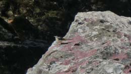 20200718_095032_tz90_