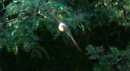 20210801_082812_tz90_sm