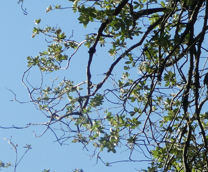 20190726_084556