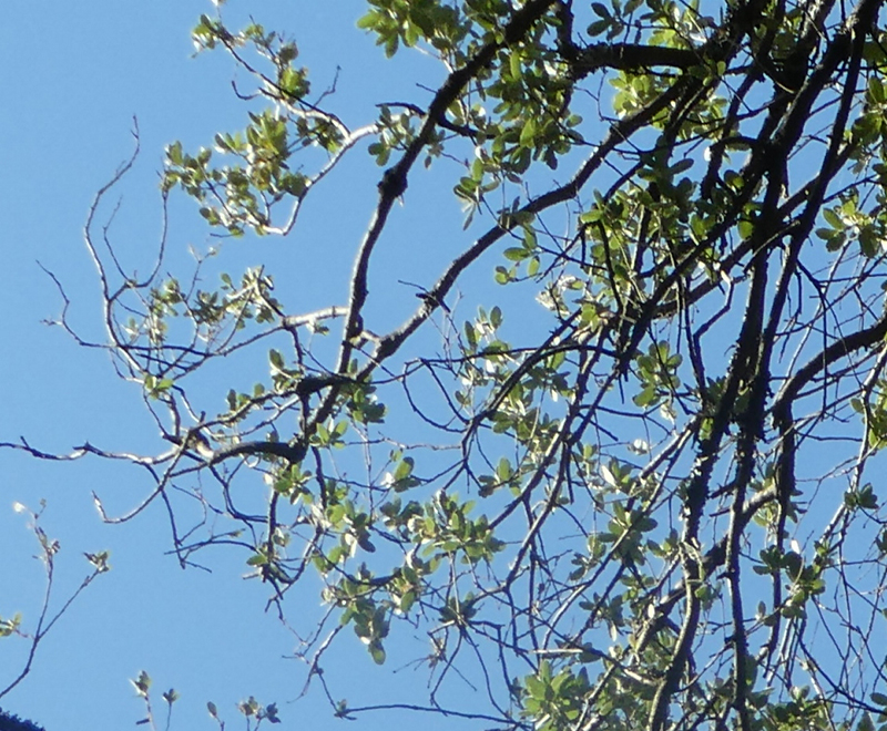 20190803_084632