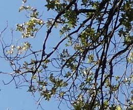 20190713_075420