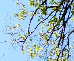 20190715_085808