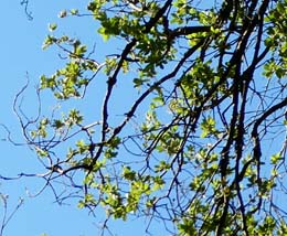 20190717_090556