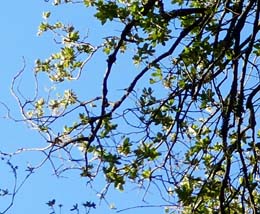 20190719_080432