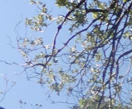 20190731_085804