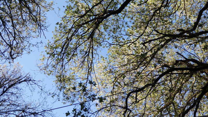 20190713_075510