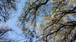 20190710_074458