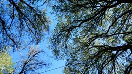 20190714_170404