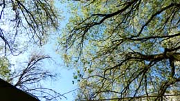 20190715_085802