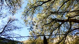 20190719_080418