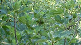 20190628_080034
