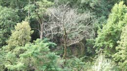20200715_083812_tz90_