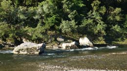 20200704_072356_tz90