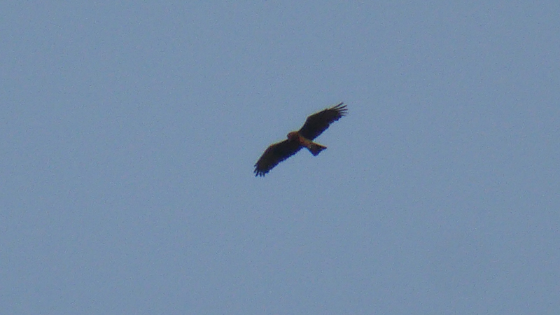 20230627_205458_milan