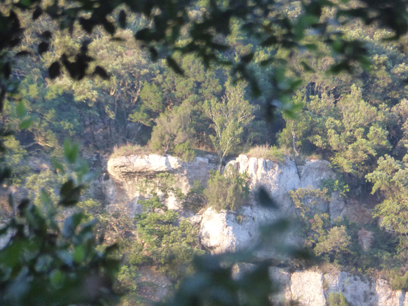 20230708_064718_belvédère