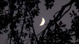 20230624_214926_lune