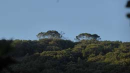 20230708_065534_panoramas