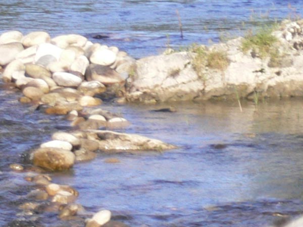 20070630_082950