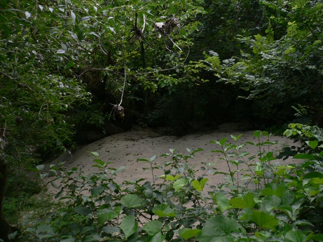 20070623_144808