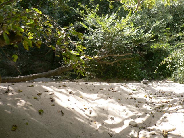20070827_141150