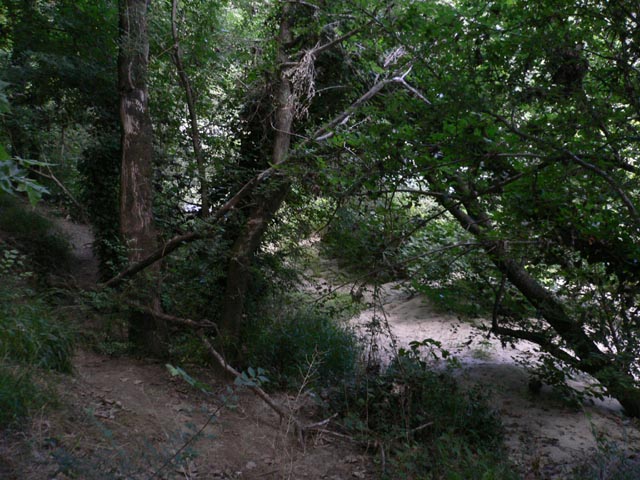 d_20070623_144944